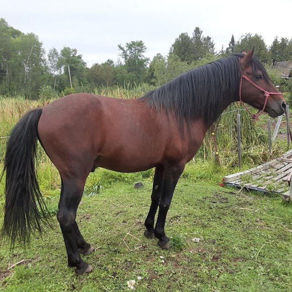 Meet your Posher, Ruth - Picture 1 of 1